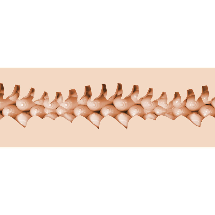 FLESHLIGHT FANTASIA - EVIE AKASHIYA VAGINA